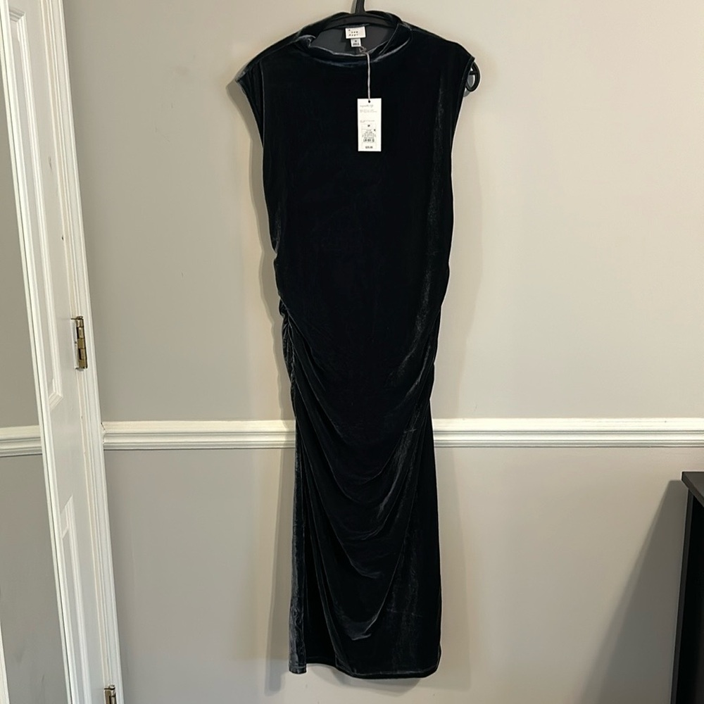 NWT Velvet ruched dress